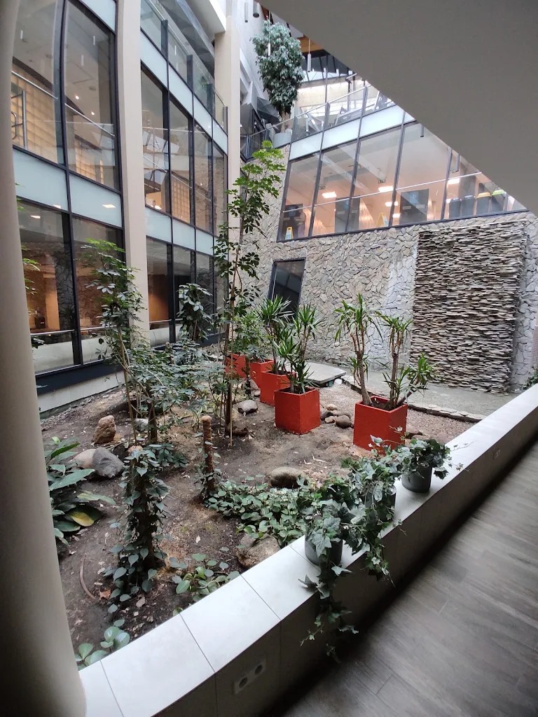 Wewnętrzny ogród w biurowcu z roślinami w donicach i kamieniami, widok z góry. Elementy kamienne na ścianach i duże okna dodają nowoczesnego charakteru.