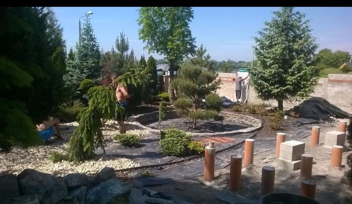 Aranżacja ogrodu w trakcie realizacji: formowanie rabat z kamykami, sadzenie drzew i krzewów, rozkładanie agrowłókniny. Widoczne rury i kostki betonowe.