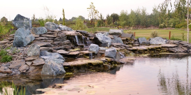 Ogród z kaskadą wodną zbudowaną z płaskich kamieni i dużych głazów, w tle zieleń drzew i krzewów. Woda spływa do stawu z liliami wodnymi.