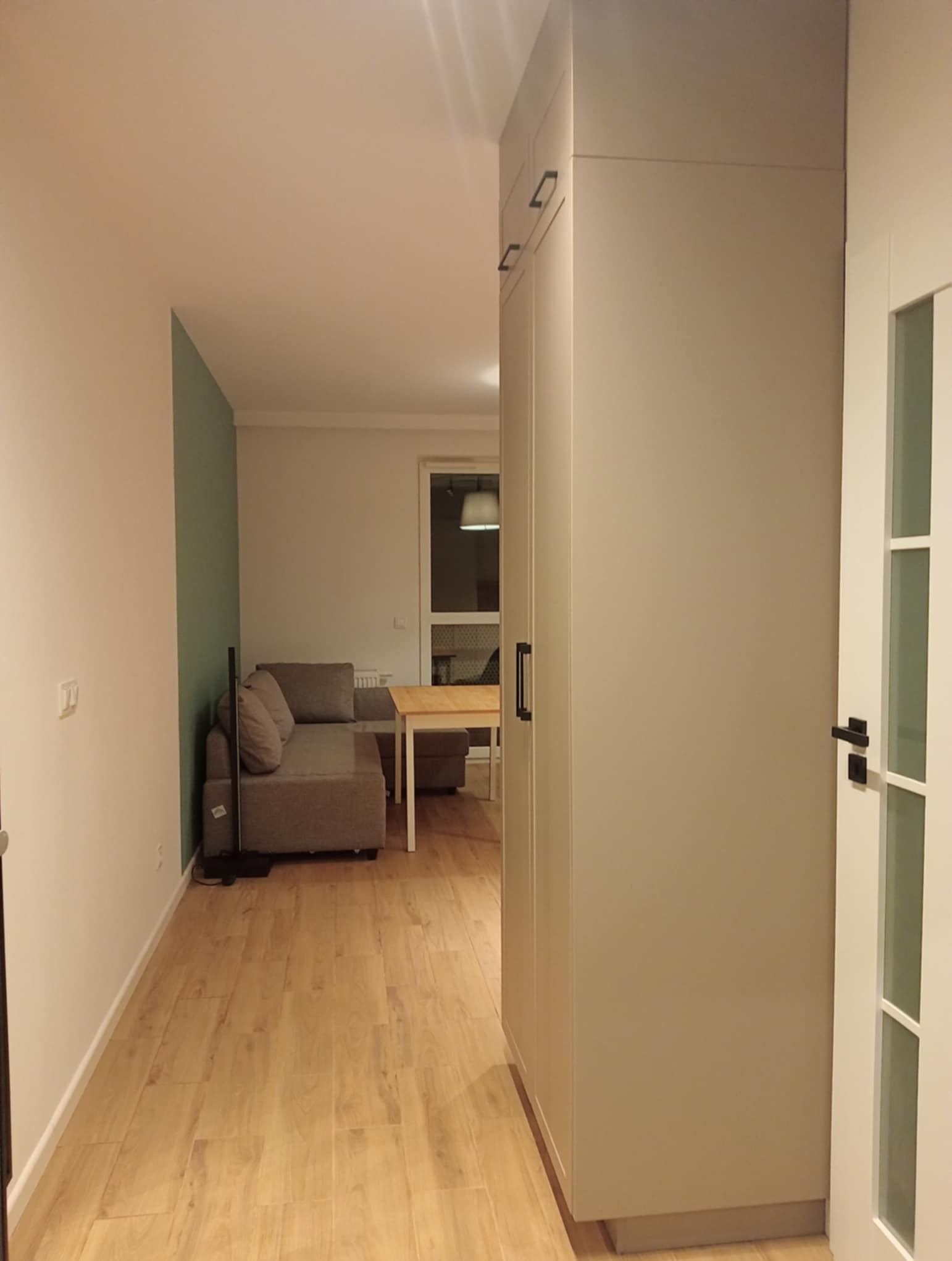 Jasne wnętrze mieszkania z drewnianą podłogą, szarą sofą i szafą w zabudowie. Widok z korytarza na salon, drzwi z przeszkleniami po prawej.