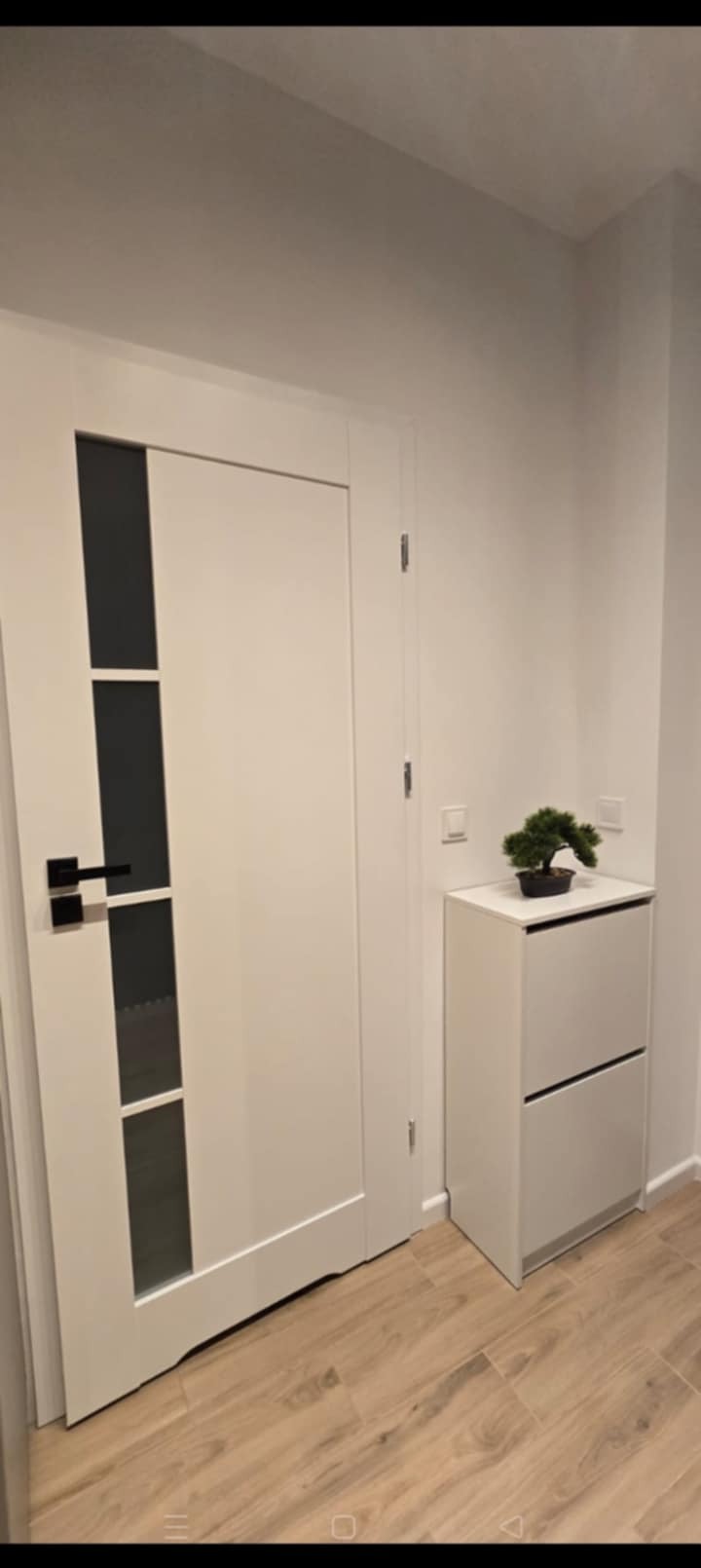 Białe drzwi wewnętrzne z czarnymi szybami i klamką, obok biała szafka na buty z rośliną bonsai, na tle jasnych ścian i podłogi z paneli.