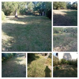 Greenpat Usługi Ogrodnicze Patryk Granisz - Koszenie nieużytków