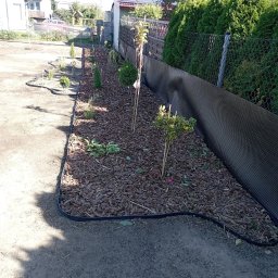Greenpat Usługi Ogrodnicze Patryk Granisz - Zakładanie rabat z wyściółkowaniem, sadzeniem oraz obrzeżami i agrowłóknina