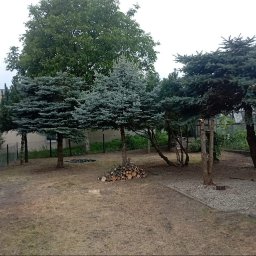 Przycinanie drzew, porządki