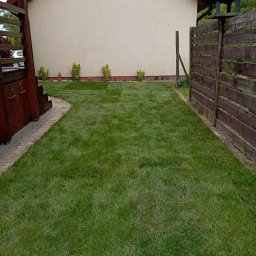 Greenpat Usługi Ogrodnicze Patryk Granisz - Architekt krajobrazu Łódź