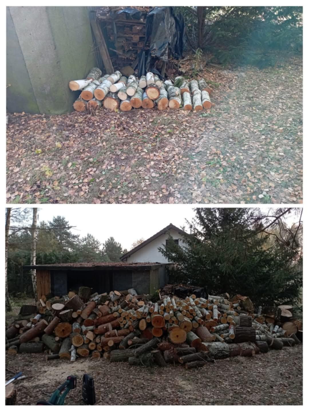 Wycinka drzew wraz z rębakiem