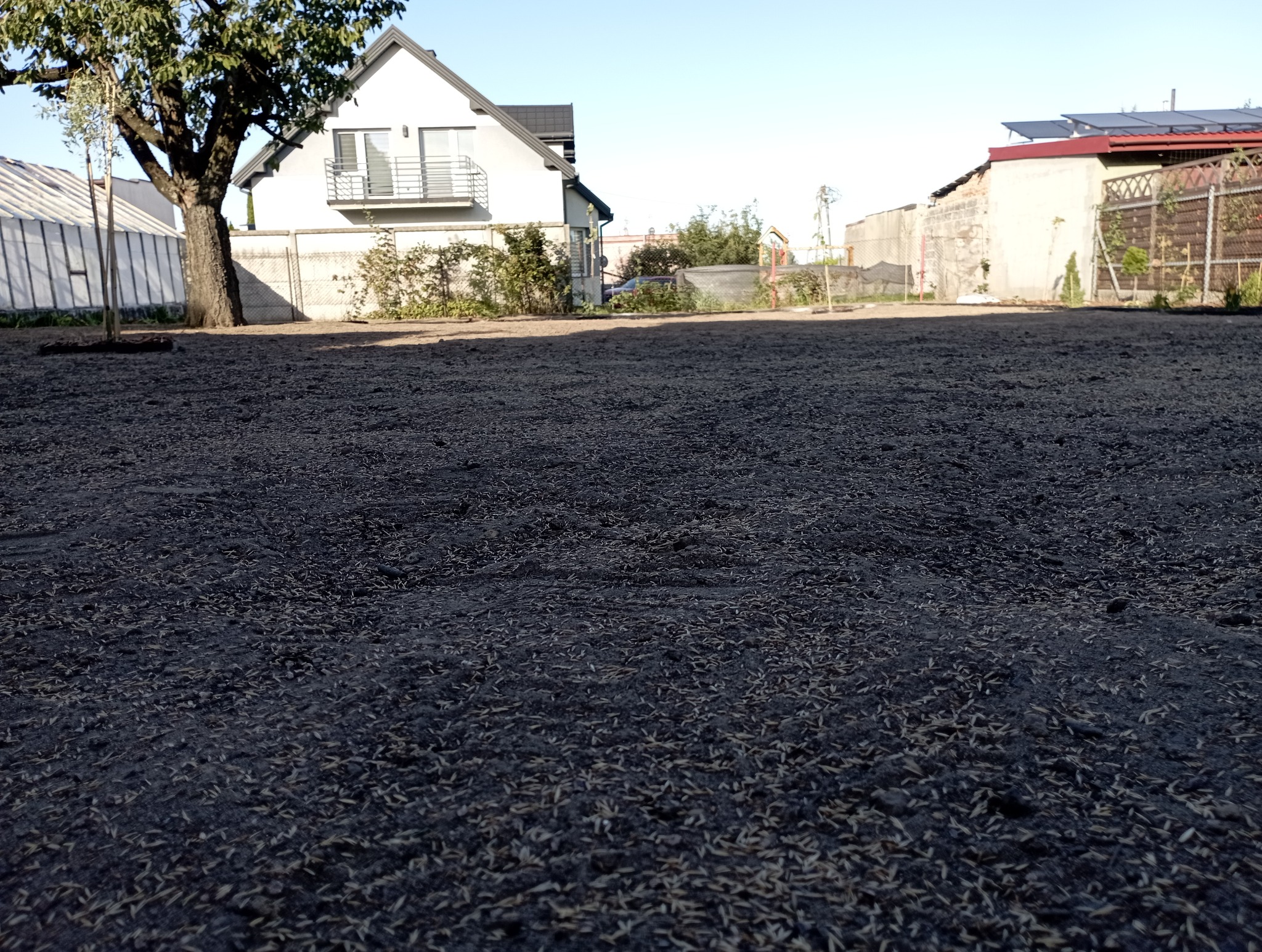 Równanie terenu + wysiew trawnika