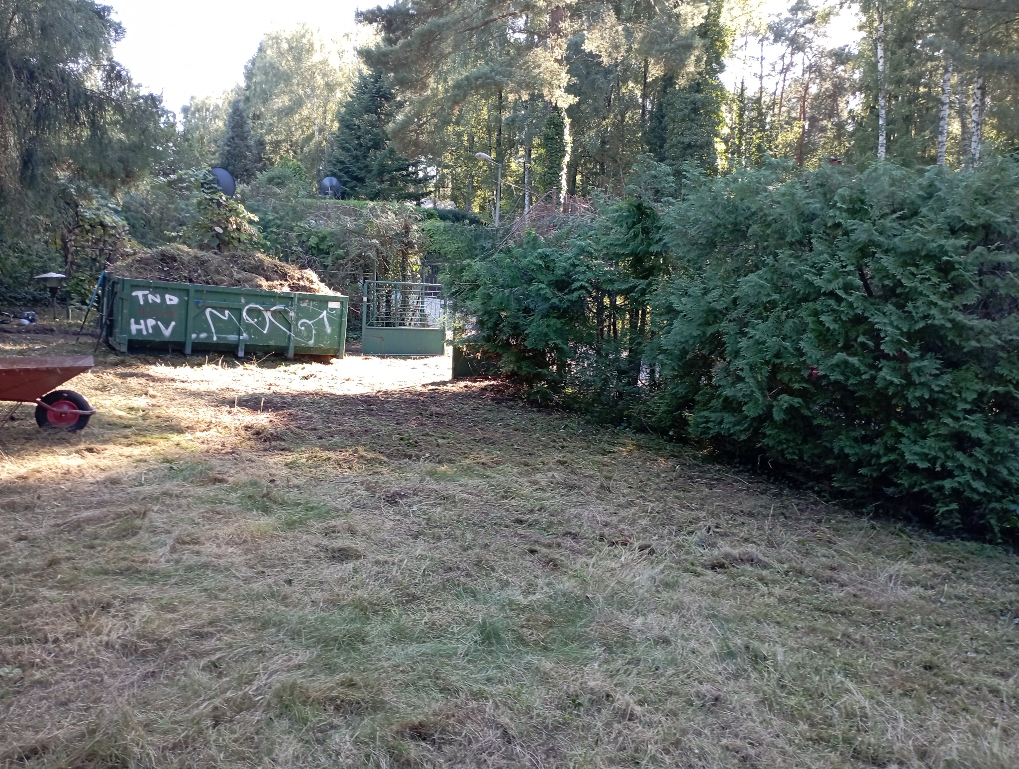 Czyszczenie działek - koszenie, przycinanie, wywóz