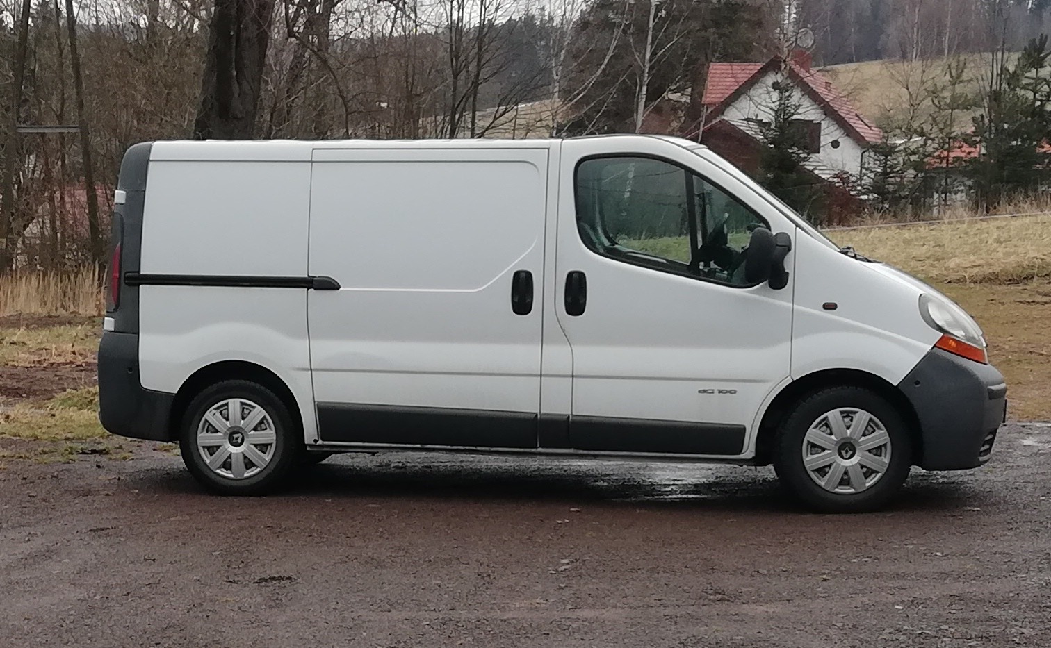 Biały bus Renault Trafic z czarnymi detalami na tle wiejskiego krajobrazu. Widok z boku, lekko pochmurna pogoda. Widoczny napis 'dCi 100'.