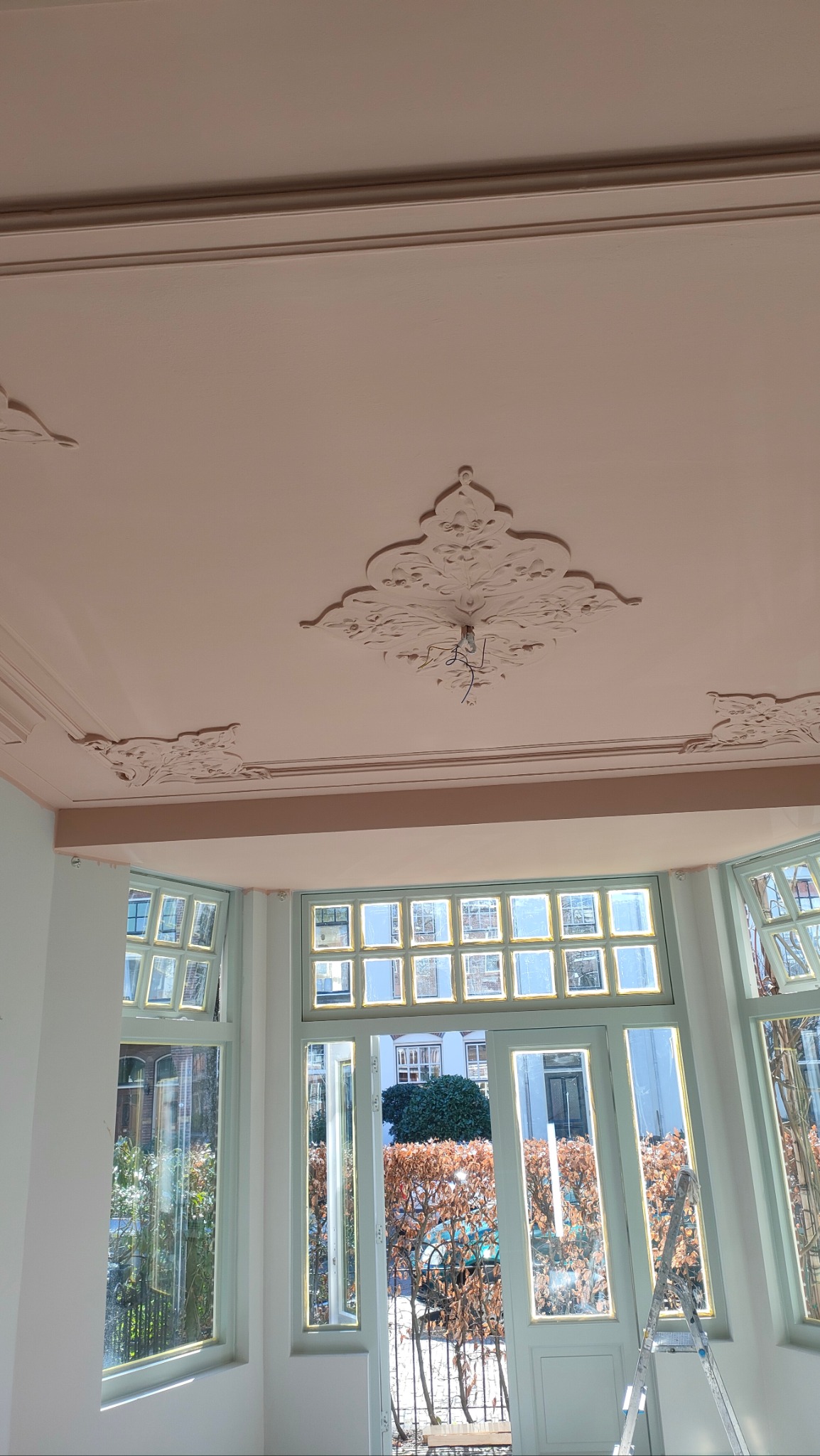 Pomieszczenie po malowaniu w Jelcz-Laskowice: świeżo pomalowany sufit z dekoracyjnymi sztukateriami i okna w pastelowych kolorach. Widoczna drabina.