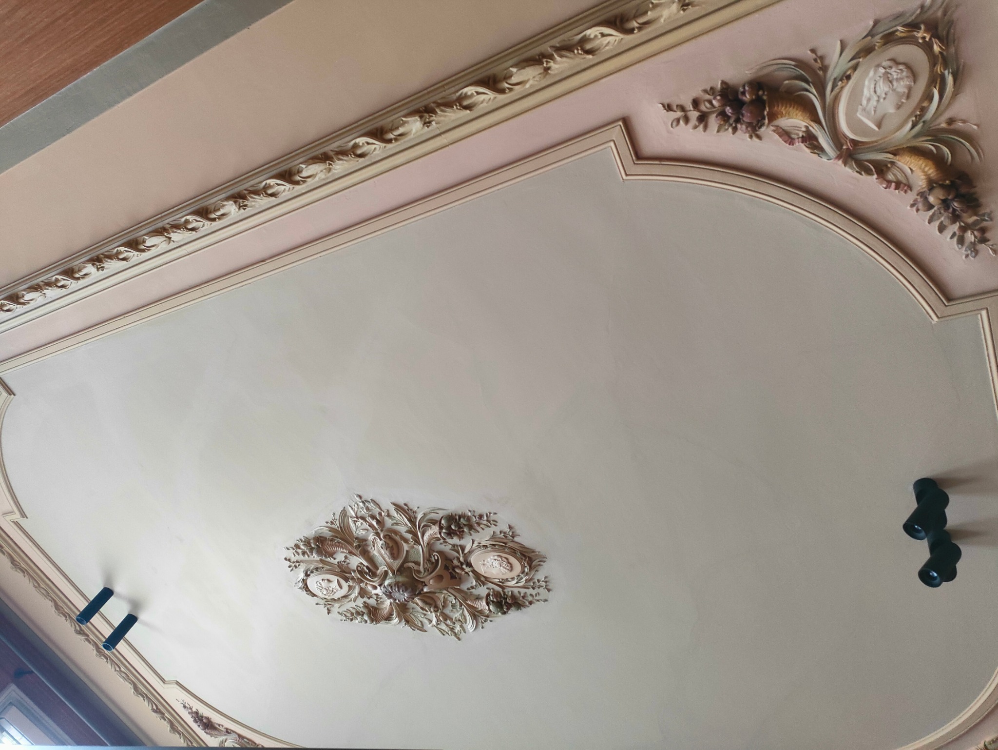 Dekoracyjny sufit w odcieniach beżu i różu, z ozdobnymi sztukateriami i listwami. Widoczne elementy oświetlenia.