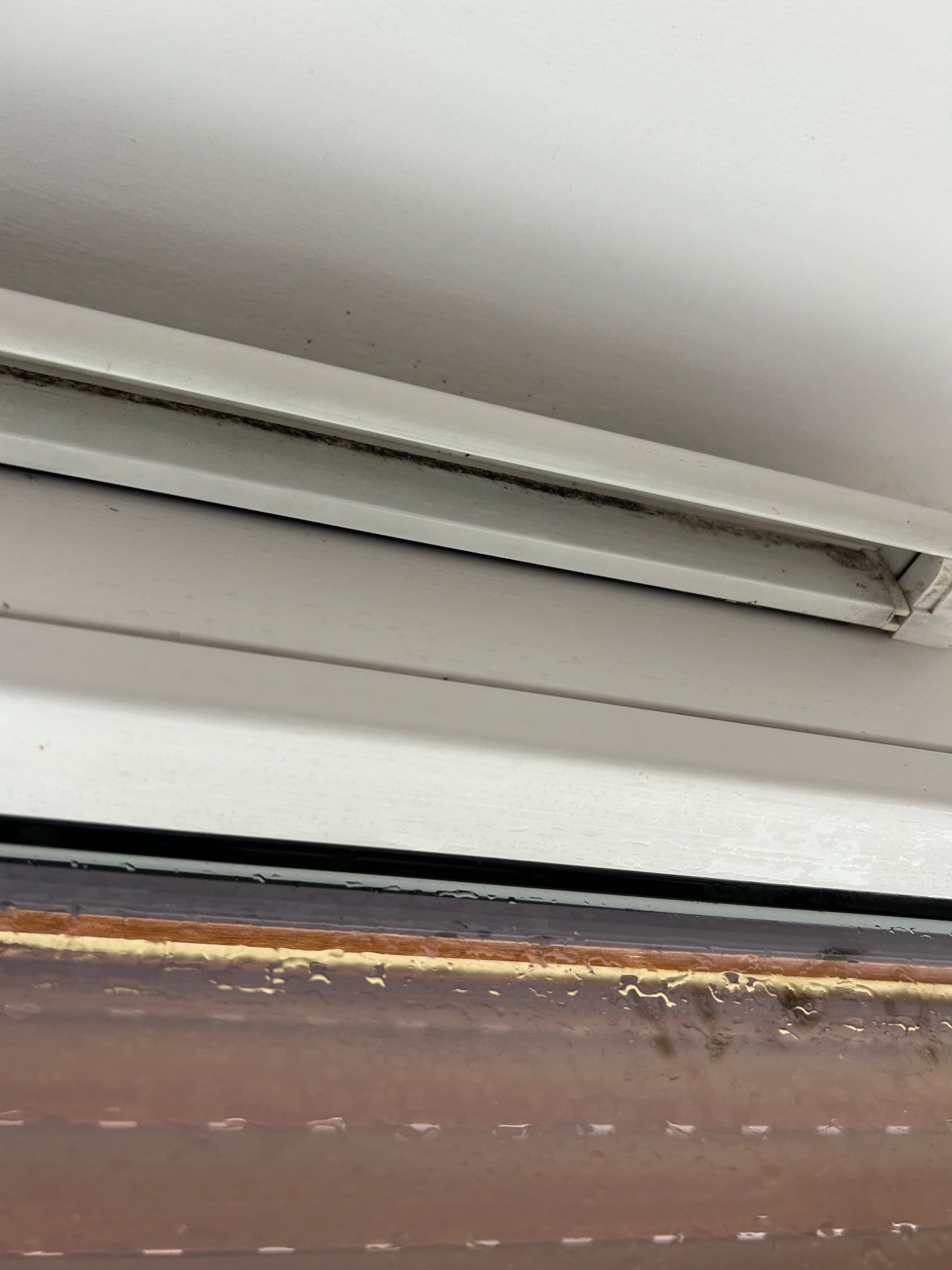 Zbliżenie na brudne, białe żaluzje okienne z widocznymi plamami i zabrudzeniami w górnej części ramy okiennej. Widoczne zacieki na szybie.