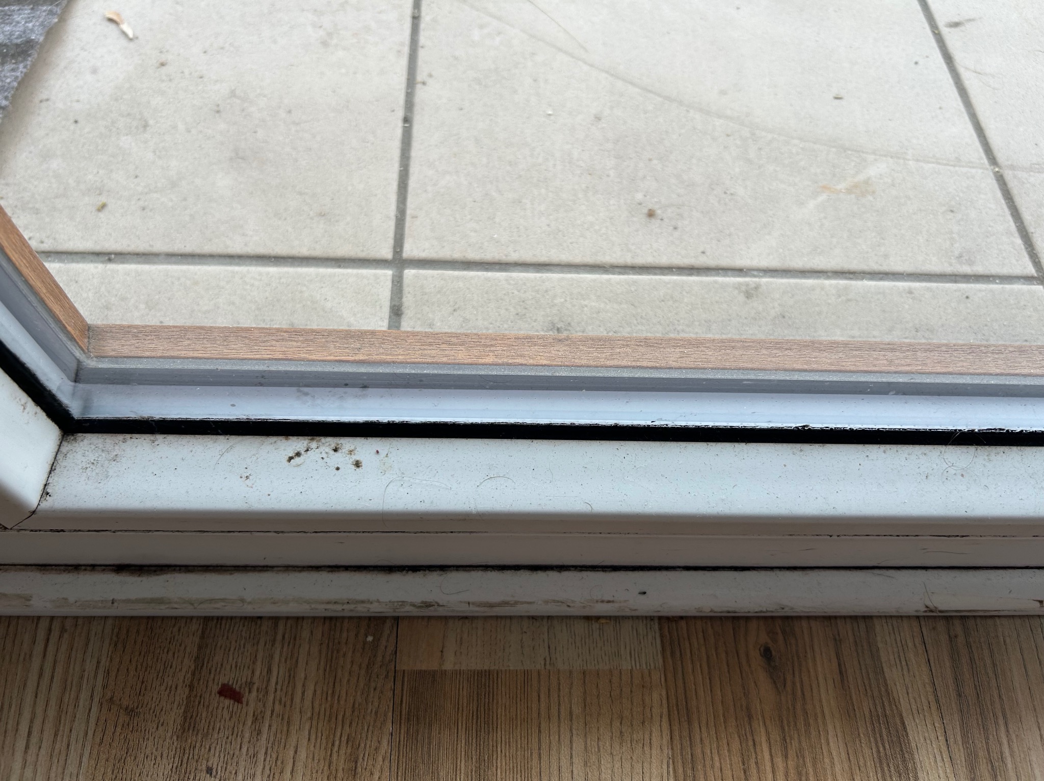 Brudna dolna rama okienna z widocznymi plamami i zabrudzeniami, kontrastująca z czystą podłogą i fragmentem tarasu. Detal zaniedbanego okna.