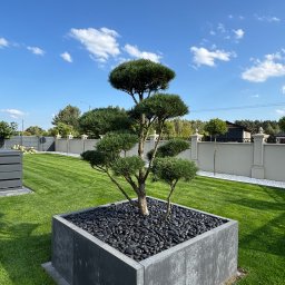 Zakładanie ogrodów Irządze 2