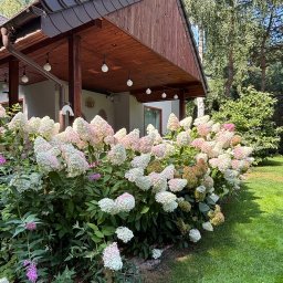 Zakładanie ogrodów Irządze 3