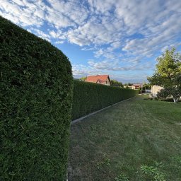 Zakładanie ogrodów Irządze 4