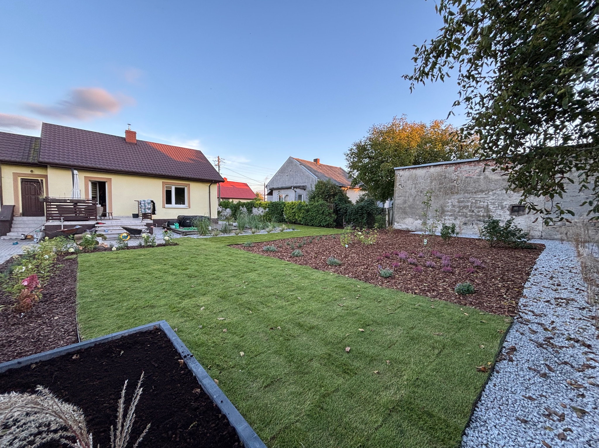 Ułożona trawa z rolki w ogrodzie, rabaty z korą i kwiatami, obrzeża z kamienia. Widok na domy w tle, błękitne niebo o zmierzchu.