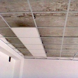 Płyta karton gips Janki 1