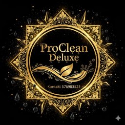 ProClean Deluxe Robert Nowak - Czyszczenie Sofy Poznań