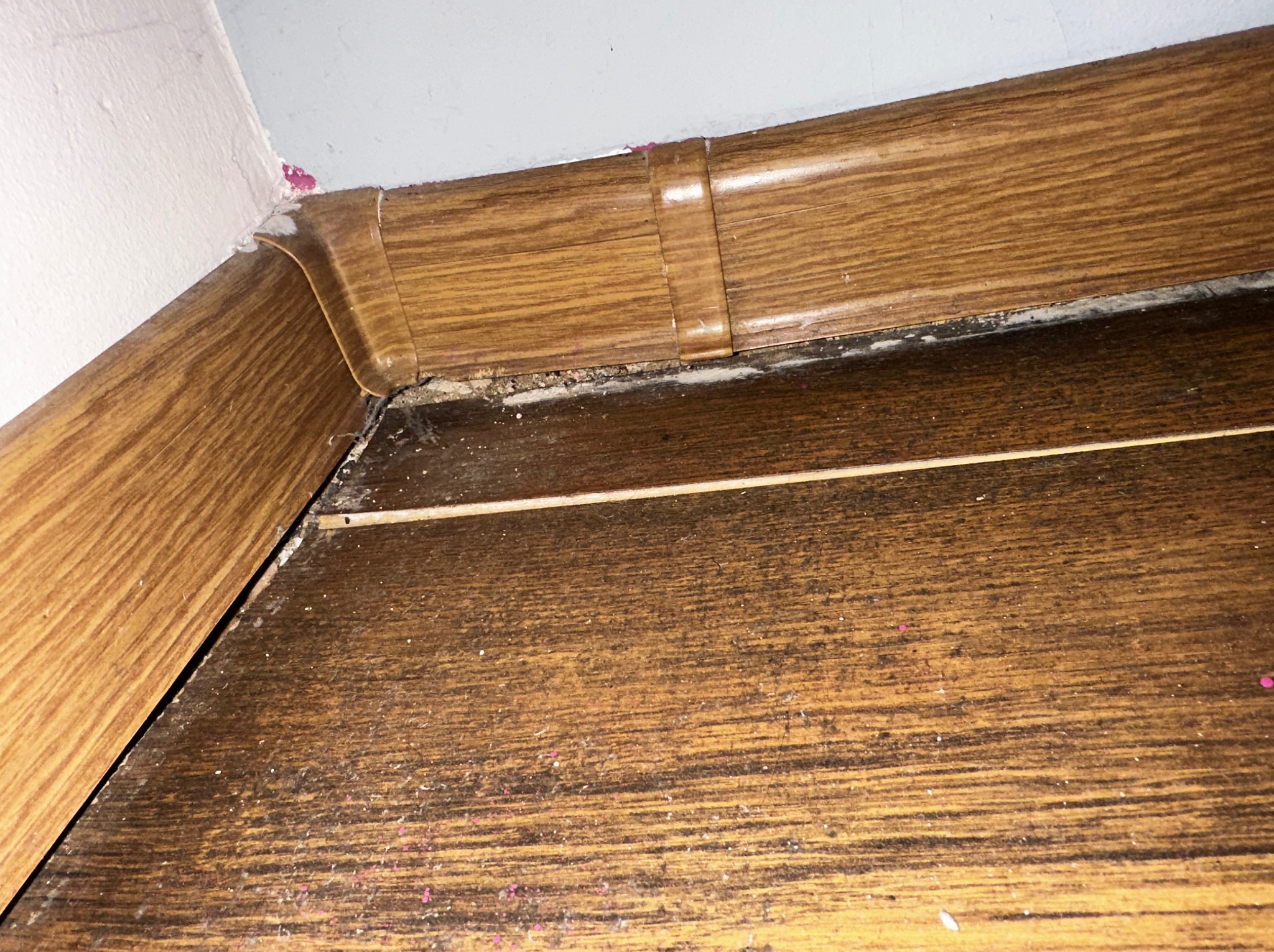 Niedokładne wykończenie podłogi z brązowych paneli i listwy przypodłogowej z widocznymi zabrudzeniami i resztkami farby przy ścianie. Niska jakość wykonania.