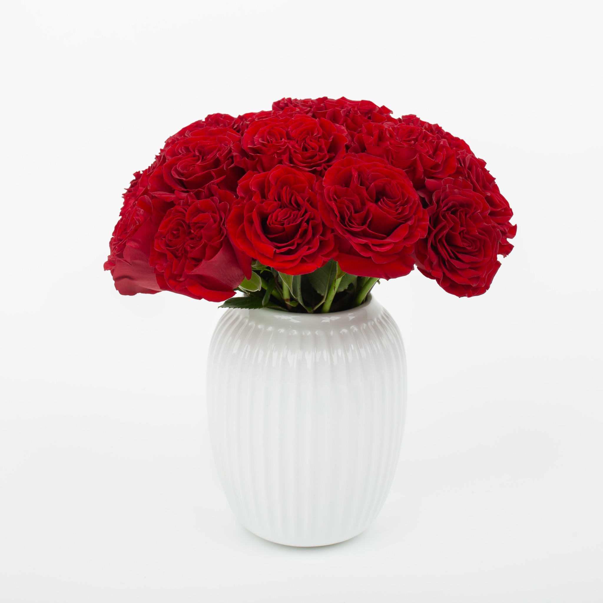 Bukiet intensywnie czerwonych róż w białym, prążkowanym wazonie na jasnym tle. Klasyczna kompozycja kwiatowa, idealna na prezent lub dekorację wnętrza.
