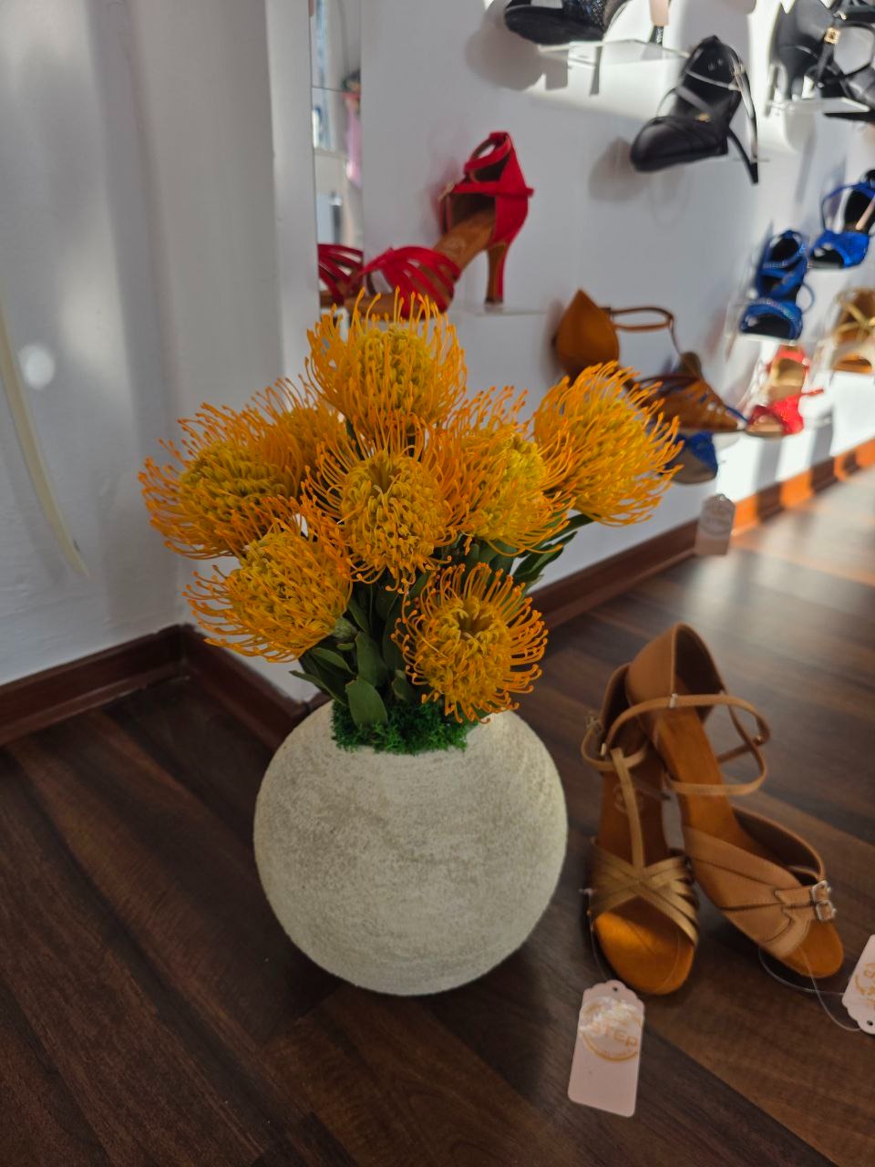Żółte protee w okrągłym wazonie, element dekoracyjny w butiku obuwniczym w Krakowie. W tle ekspozycja butów tanecznych.