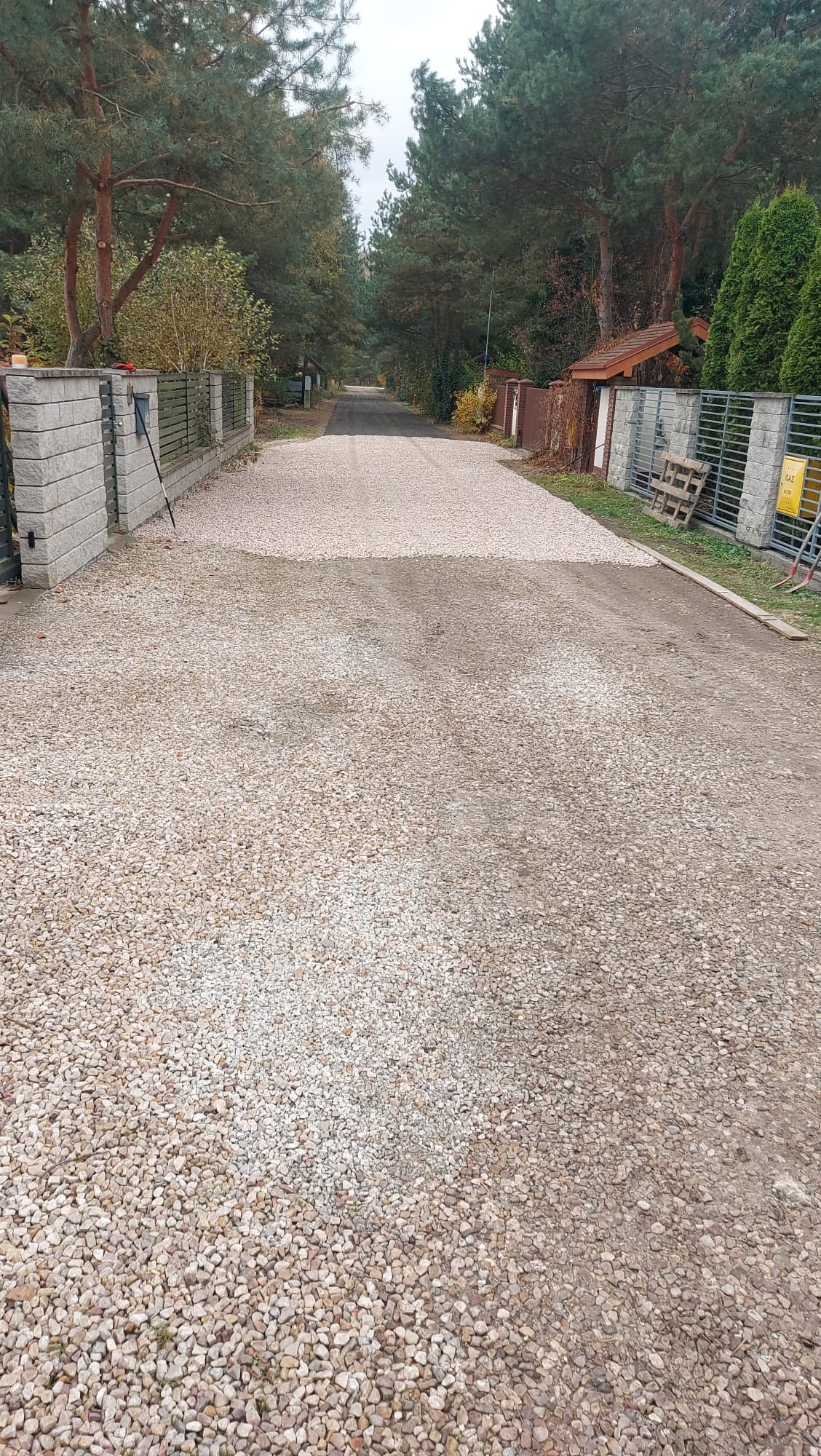 Utwardzona droga dojazdowa wysypana drobnym, jasnym żwirem, otoczona drzewami i ogrodzeniami. Widok z perspektywy wjazdu na posesję.