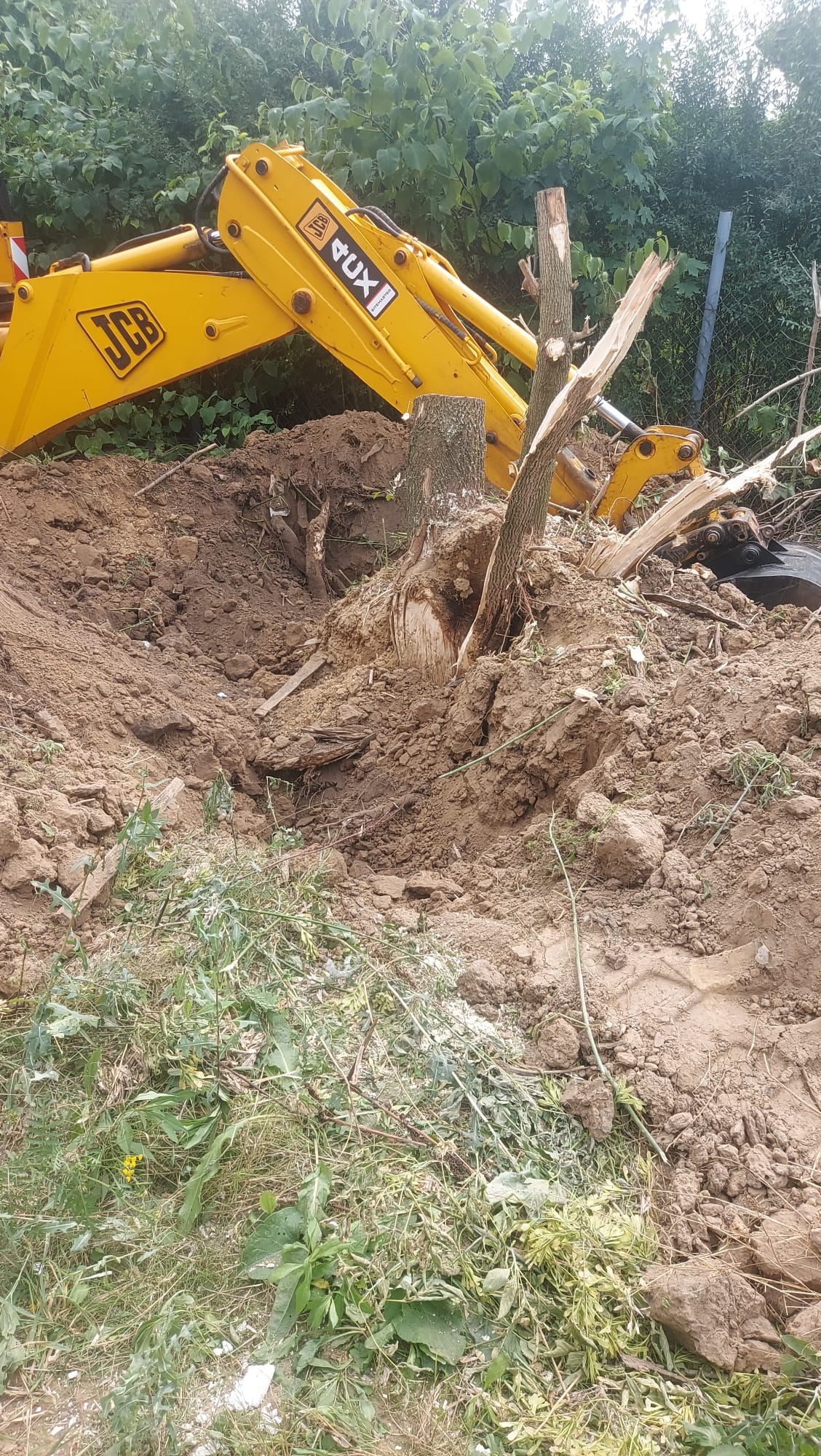 Żółta koparka JCB w trakcie karczowania pni drzew na nierównym terenie z ziemią i resztkami roślinności. Widoczne fragmenty drzew i wykop.