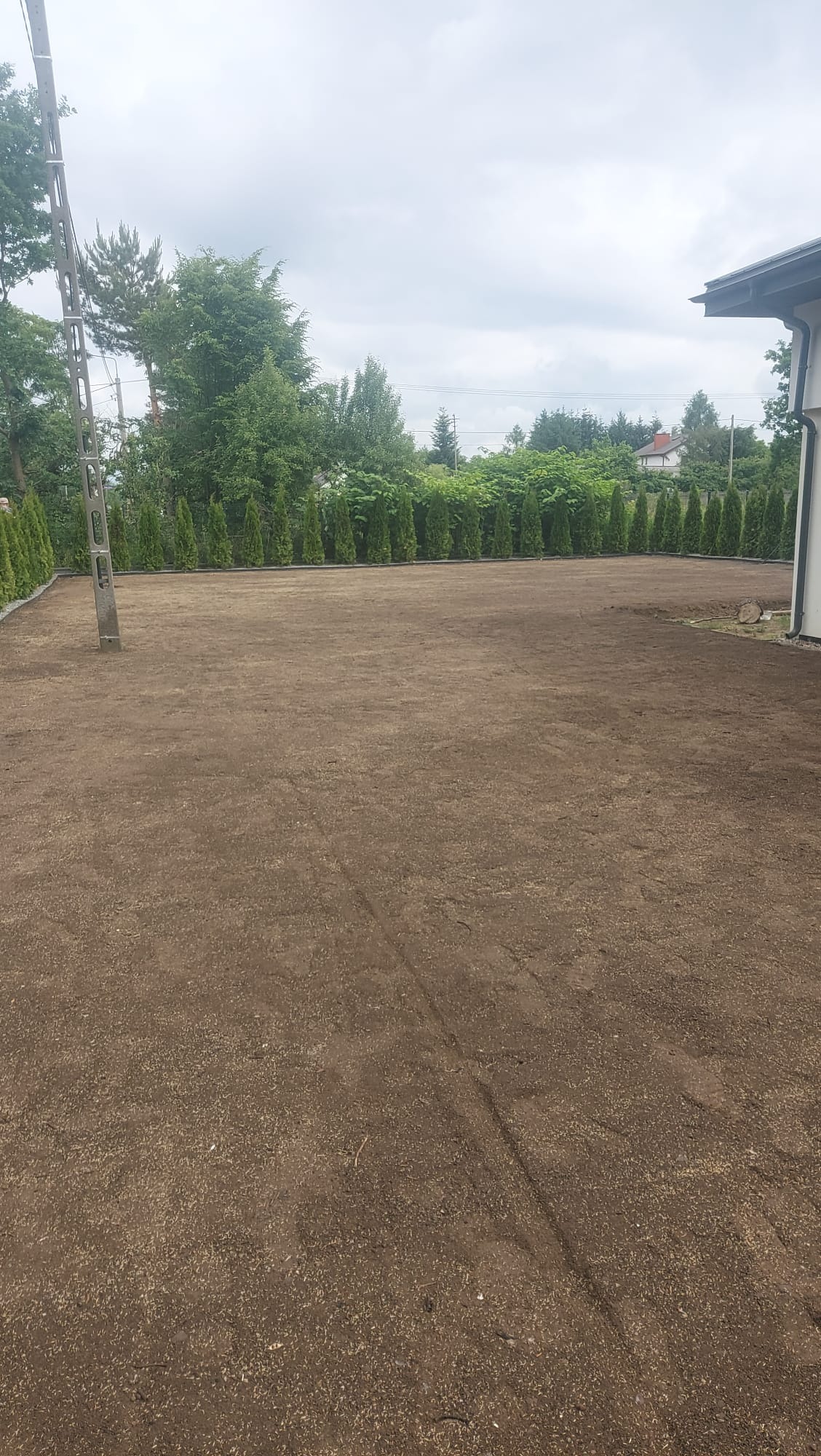 Wyrównany teren pod trawnik z widocznymi śladami po maszynach, obok domu jednorodzinnego z tujami w tle, w pochmurny dzień.