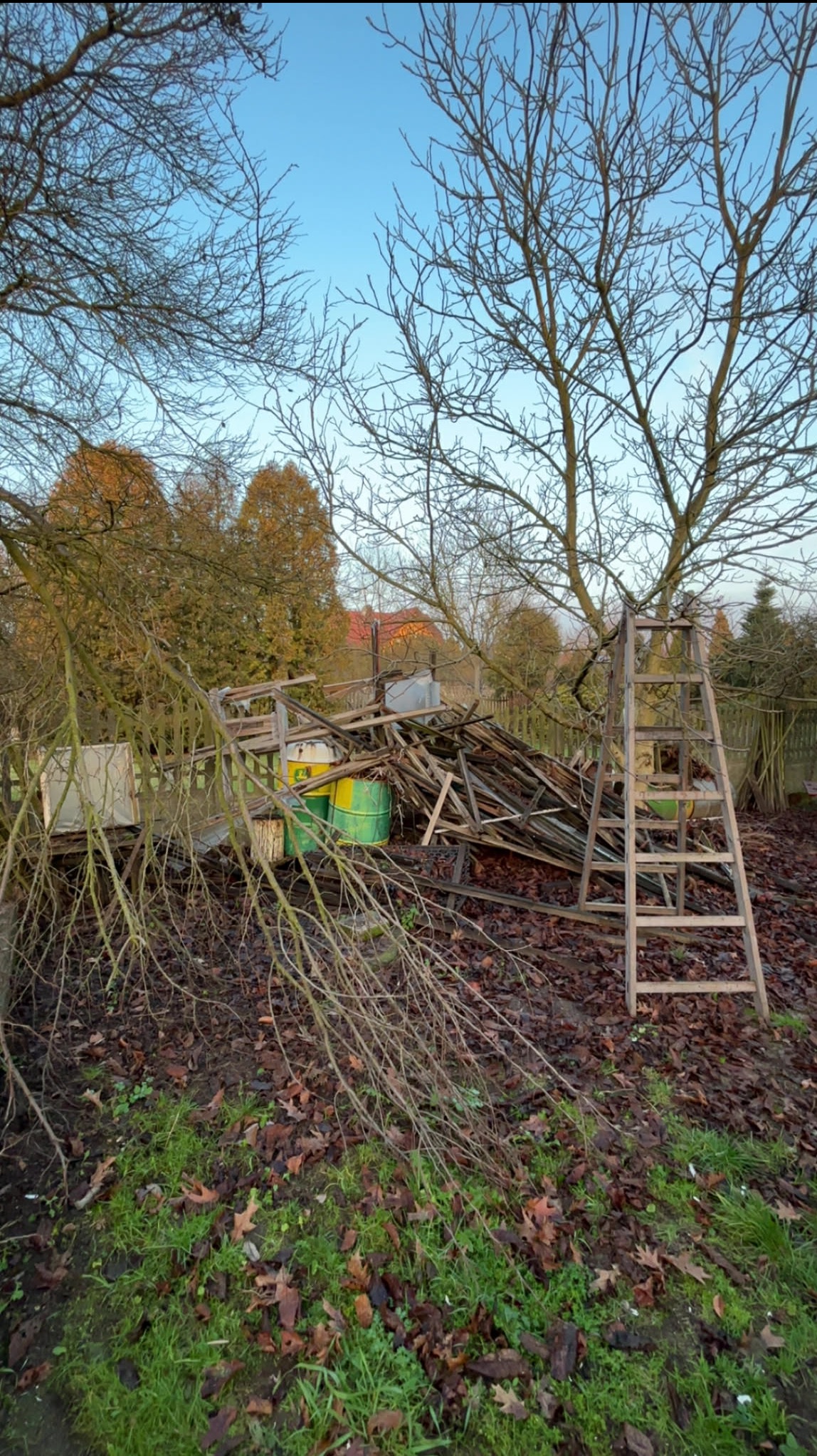 Sterta gruzu, drewnianych desek i beczek w ogrodzie, z drewnianą drabiną opartą o stertę. W tle drzewa i niebieskie niebo.