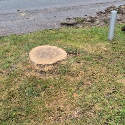 Wycinka drzew Boguszów-Gorce 3