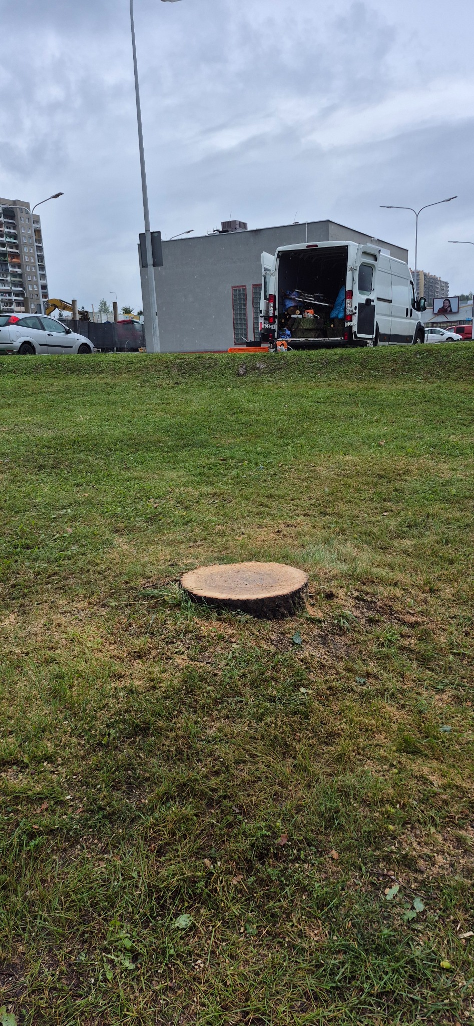 Wycinka drzew Podzamcze Wałbrzych.