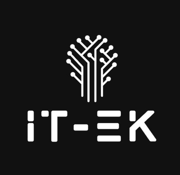 Minimalistyczne logo IT-EK na czarnym tle. Biały symbol drzewa z obwodami drukowanymi i nazwa firmy w nowoczesnej czcionce.