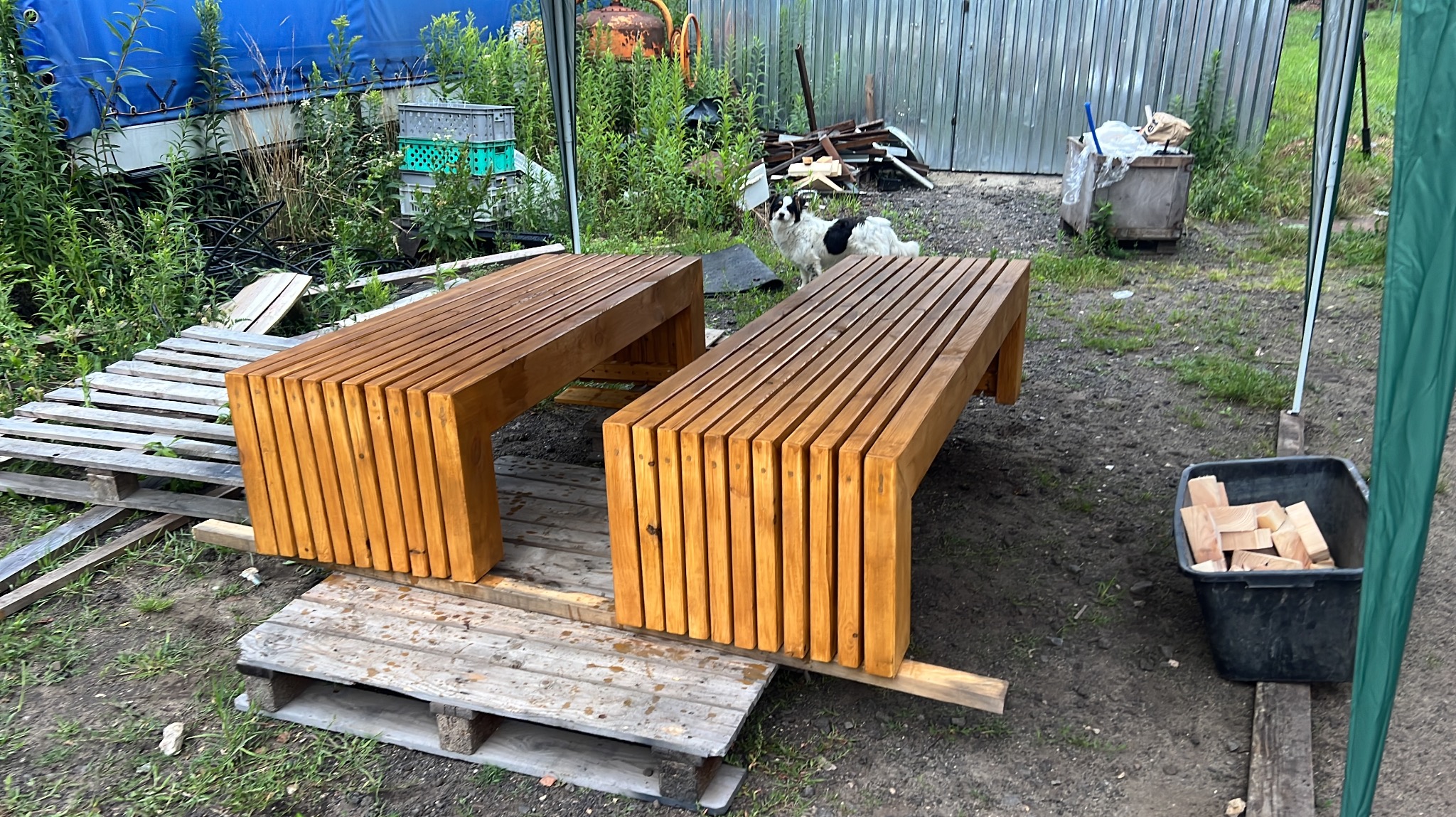 Dwie drewniane ławki ogrodowe z listew, ustawione na paletach. W tle zieleń, pies i elementy budowlane. Nietypowe ustawienie ławek przed montażem.