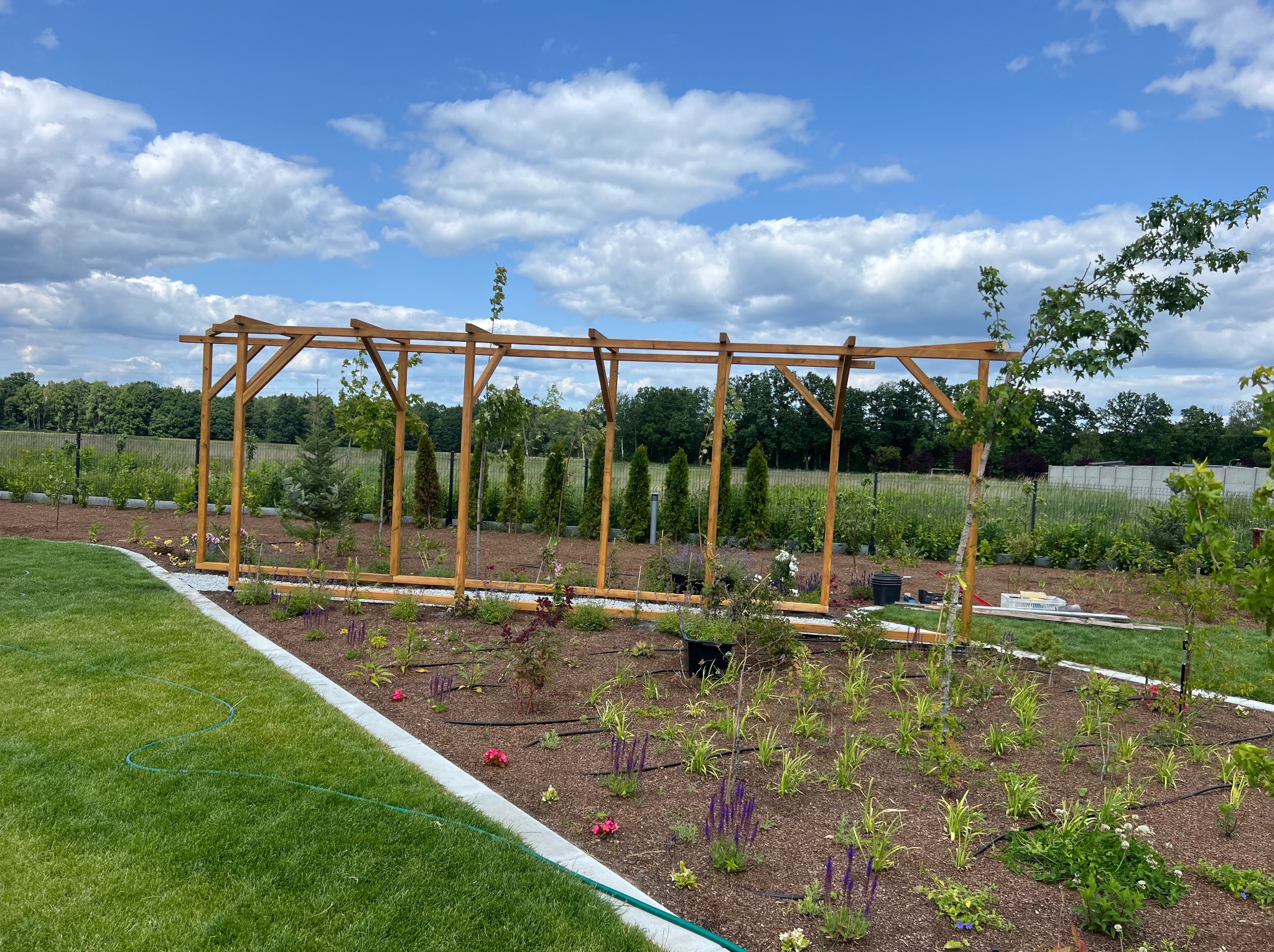 Pergola z drewna w ogrodzie z nowymi nasadzeniami, systemem nawadniania i świeżo skoszoną trawą. W tle drzewa i błękitne niebo z chmurami.