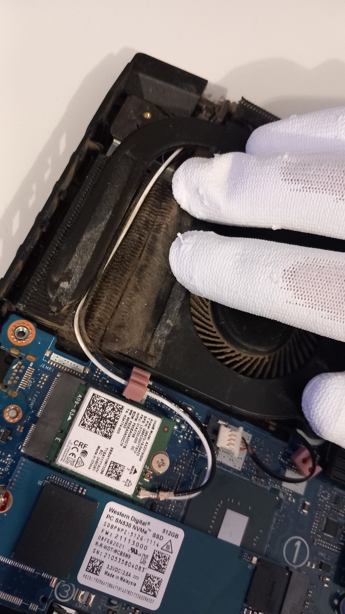 Wnętrze laptopa z widocznym wentylatorem chłodzącym, dyskiem SSD Western Digital 512GB i kartą sieciową, czyszczone przez osobę w białych rękawiczkach.