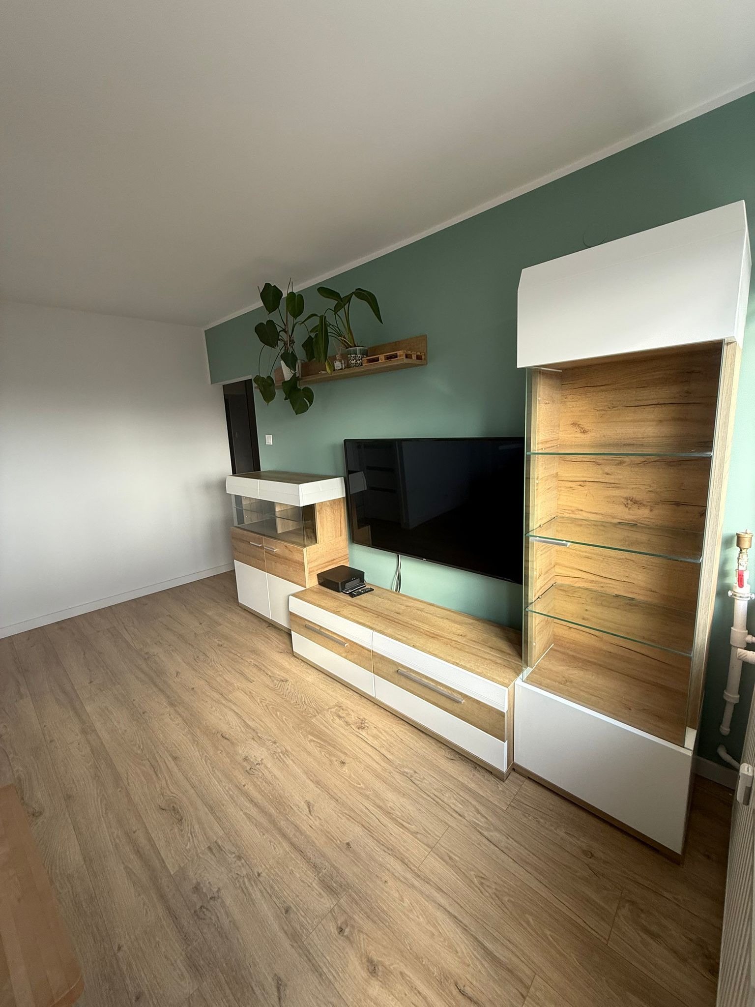 Nowoczesny salon z zieloną ścianą, drewnianą podłogą i meblami w odcieniach bieli i drewna. Na ścianie półka z roślinami, a pod nią telewizor. Minimalistyczny design.