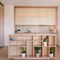 Bukabu Anna Pilch Projektowanie Wnętrz - Jasna kuchnia z drewnianymi szafkami i wyspą z półkami, na których stoją rośliny doniczkowe. Minimalistyczny design, nowoczesne oświetlenie, naturalne światło z okna.