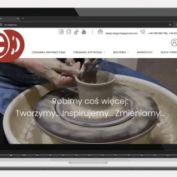 Tworzenie stron internetowych Piaseczno 2