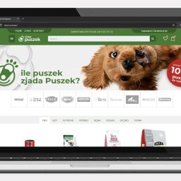 Tworzenie stron internetowych Piaseczno 1