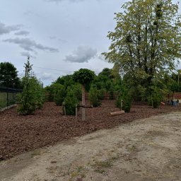 Ogrody - Skalniaki Ogrodowe Iława