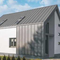 Transbud - Nowoczesny dom z szarą blachą na dachu i elewacji, widoczne okna dachowe i pionowe panele elewacyjne. Minimalistyczny design, jasne tło nieba.