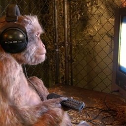 Davyd Kostash - Grafik Police