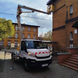 Wycinka drzew Sosnowiec 3