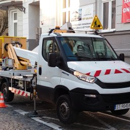 Wycinka drzew Sosnowiec 2