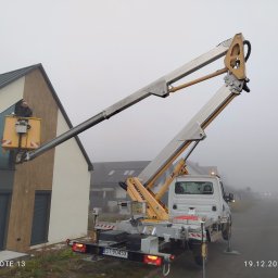 Wycinka drzew Sosnowiec 3