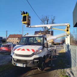 Wycinka drzew Sosnowiec 4