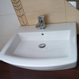 SHARK CLEANING - Biała umywalka Roca z chromowaną baterią na tle beżowych płytek z motywem roślinnym i lustra. Umywalka osadzona na ciemnobrązowej szafce.