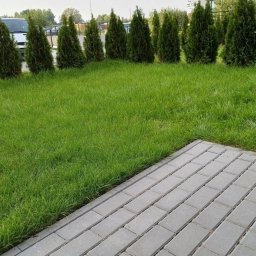 Sprzątanie biur Kraków 3