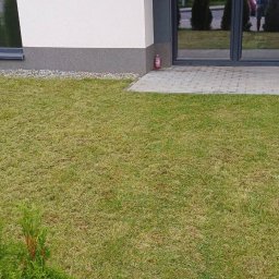 Sprzątanie biur Kraków 1